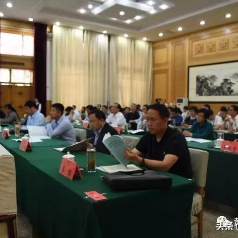 杨晓琼最新莲花落全集免费听