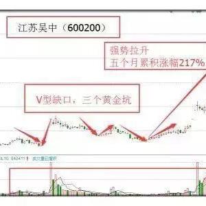 江苏吴中股票最新消息深度解读