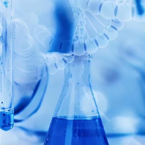 Arc520最新进展报告更新，最新进展概述