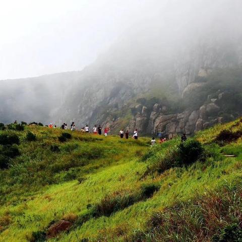 东方日升股票最新深度分析，消息更新