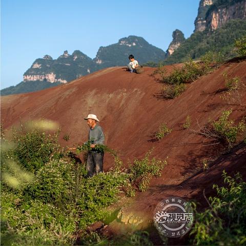 高平沟底煤矿最新动态报告，最新消息更新