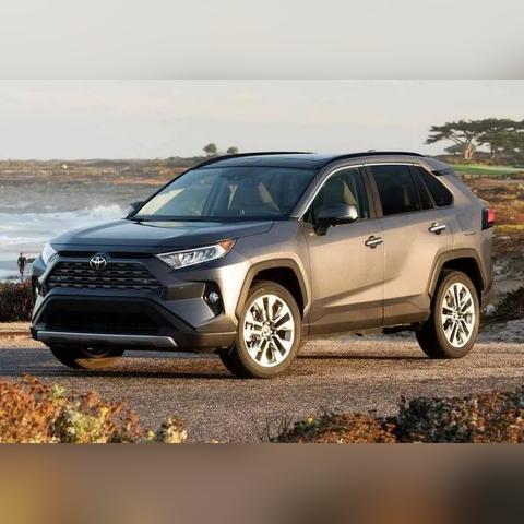 忍者龙剑传4最新消息大揭秘，深度解析与前瞻