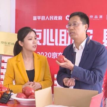 陕西省富平县最新新闻动态更新