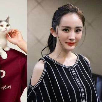 李易峰杨幂再度合作揭秘，最新电视剧数据大放送！