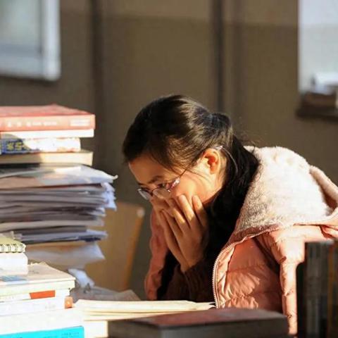 大王与小王2024揭秘数字背后的新篇章