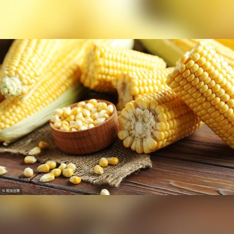 吉林市玉米价格最新动态与行情分析