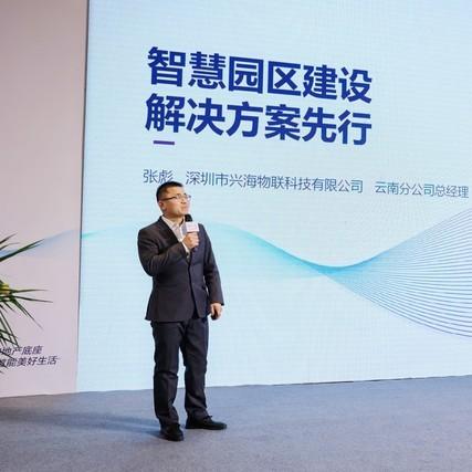 重塑数字世界蓝图，最新颖网站探索