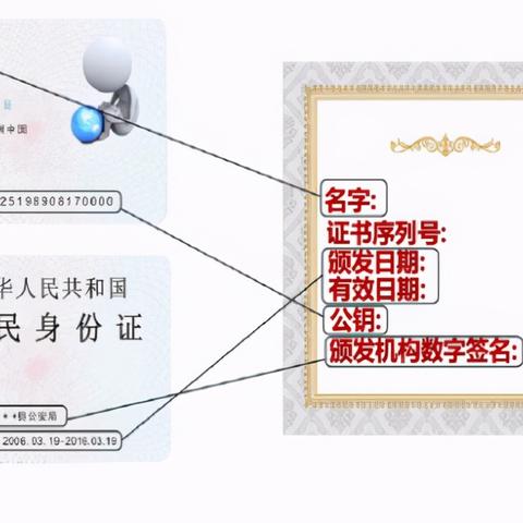 今日签名背后的故事，真实数据之旅揭秘之旅