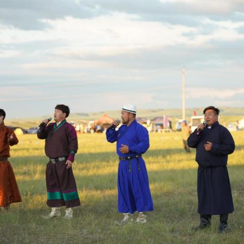 最新报告深度解析，95牧现象探讨