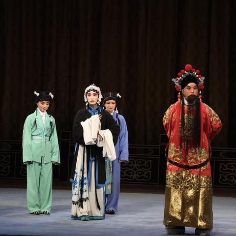 扬剧新风尚，传统魅力与现代风采的交融演绎视频