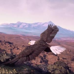 冒险之光最新动态揭秘，数字背后的冒险之旅进展更新。