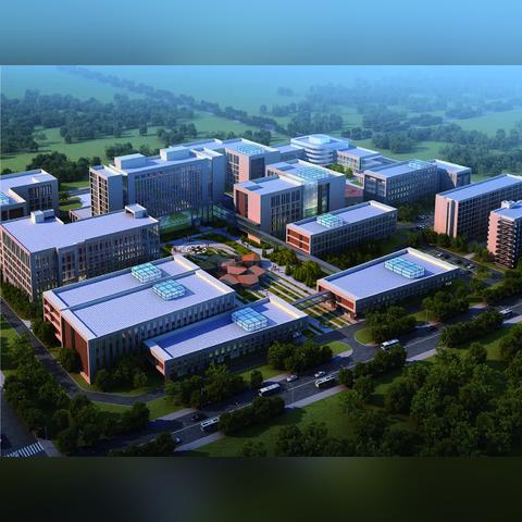 最新卡子午研究报告发布，卡子午领域最新动态