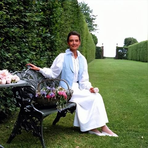 安妮最新视频揭秘，数据背后的故事深度解析