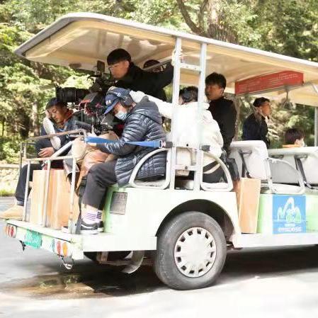 鞍山电影动态更新，热门影片解析与最新上映资讯