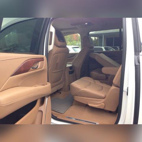 最新铂金广告，尊享奢华，点亮人生璀璨之选