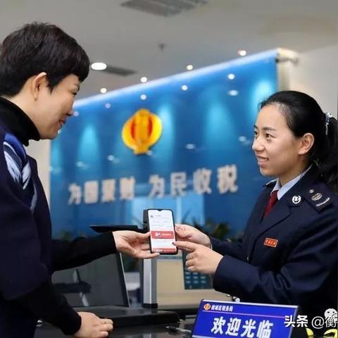 最新税票深度解析，数据背后的故事与启示