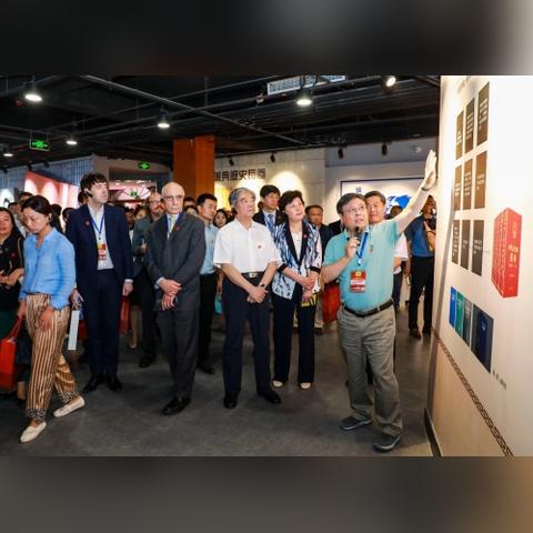 日本药典最新概述与进展，最新日本药典概览