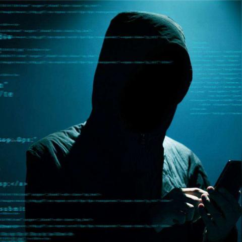 暗黑网络现象深度解析，最新数据剖析报告