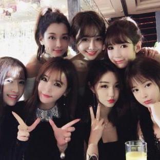 最新网红门现象揭秘，数据剖析背后的秘密趋势