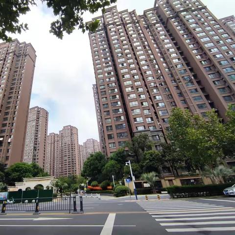 滨湖二手房价格最新分析概览