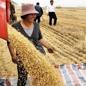 央视一套电视剧播出动态及热门剧集解析