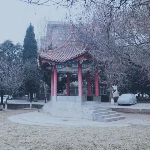 你的爱如星光，最新情感报告揭秘爱的光芒