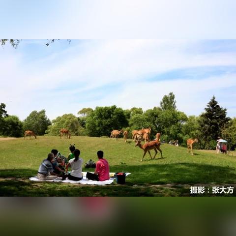 松花江避暑城最新项目揭秘，详细解读最新动态