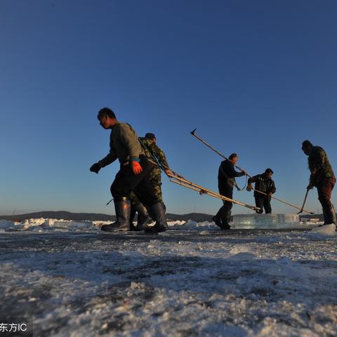 黑色切割者最新版全面解析