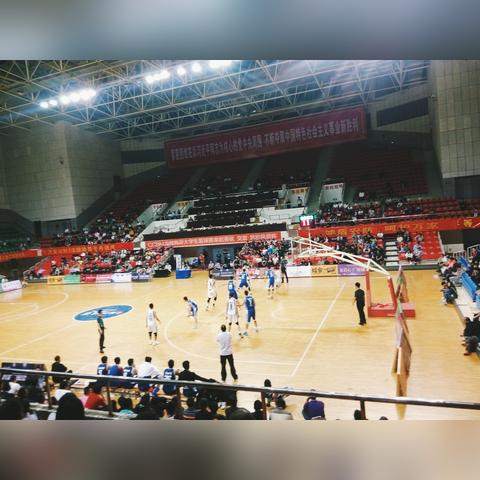 上海市最新92号汽油价格与市场动态分析