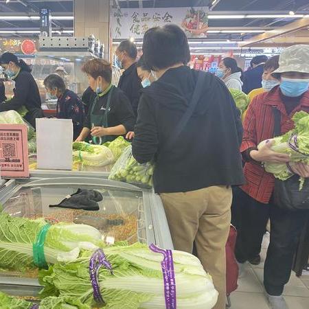 全球疫情结束时间预测最新分析与预测