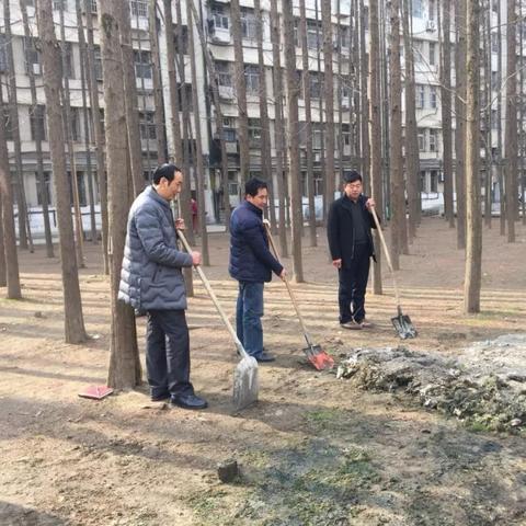 东城区最新规划6号地，重塑城市面貌新蓝图