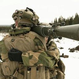 丛林大作战最新版下载攻略与游戏介绍，最新下载指南