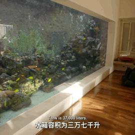 开心水族箱最新兑换码攻略，获取及使用方法全解析
