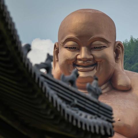 笑口组最新一集揭秘，数据展现欢乐时光