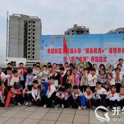 成都人才网最新招聘动态深度解析，求职招聘资讯速递