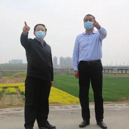 店子王大桥最新动态，最新消息汇总