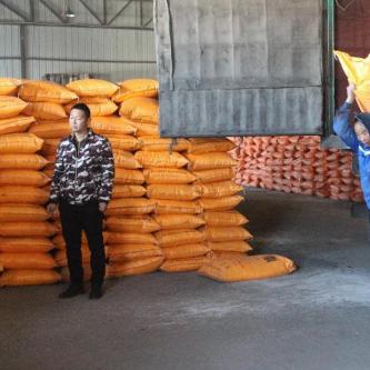 尿素价格行情最新动态，农资市场深度观察与火爆价格