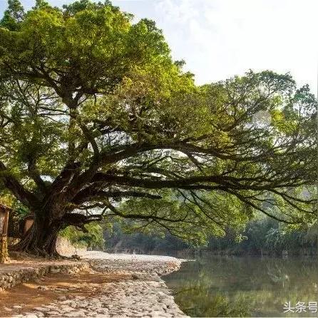 ＂三中三必中一组澳门＂的：大决策指标资料_明亮版2.92