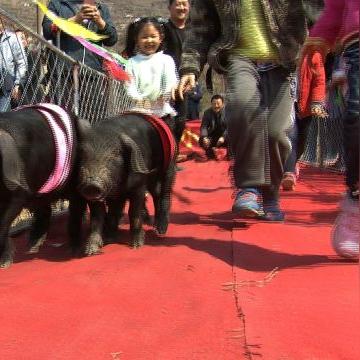 数字时代财富新路径揭秘，免费赚钱奇招分享