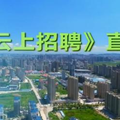 佛山南海九江最新招聘信息全解析