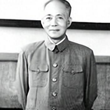 市委书记成长记最新章节，未来征程揭秘