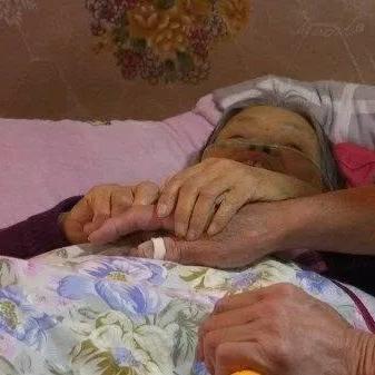 北大失联硕士最新进展揭秘，深度报道最新动态