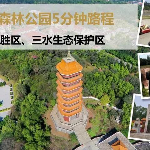 三水尼克项目最新进展揭秘，深度报道抢先看