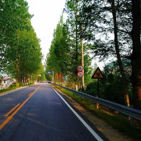 洪监高速公路最新进展报告，施工进展顺利