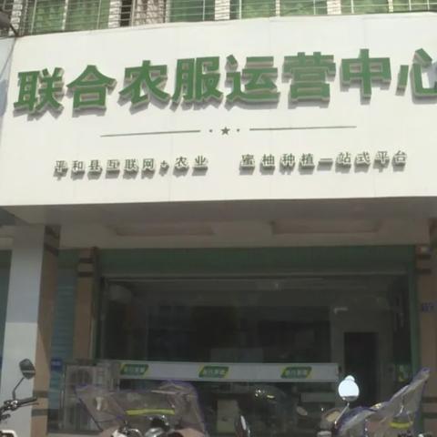 漳州人才网最新招聘信息概览，求职招聘一站式平台