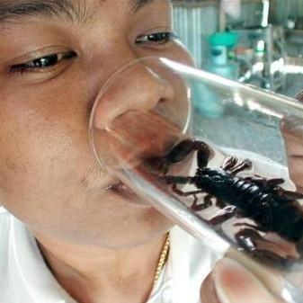 TVBE69技术革新与应用现状解析