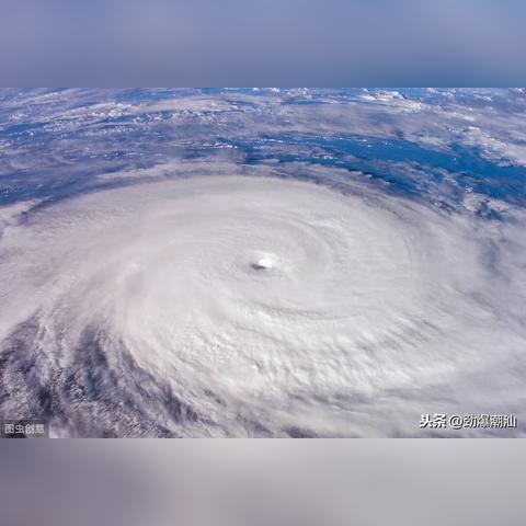 台冈最新信息更新概览