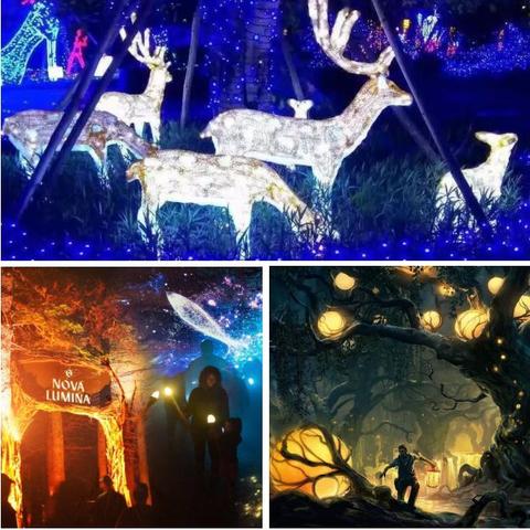 缘分0最新小说，星际奇缘