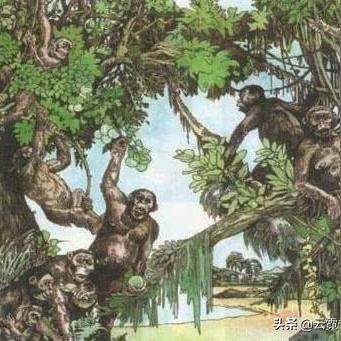 人类起源之谜最新探索揭秘惊人真相