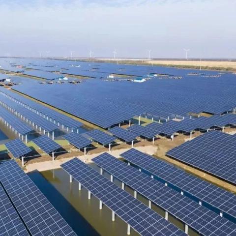 最新韩国青草2025，科技与生态的和谐融合